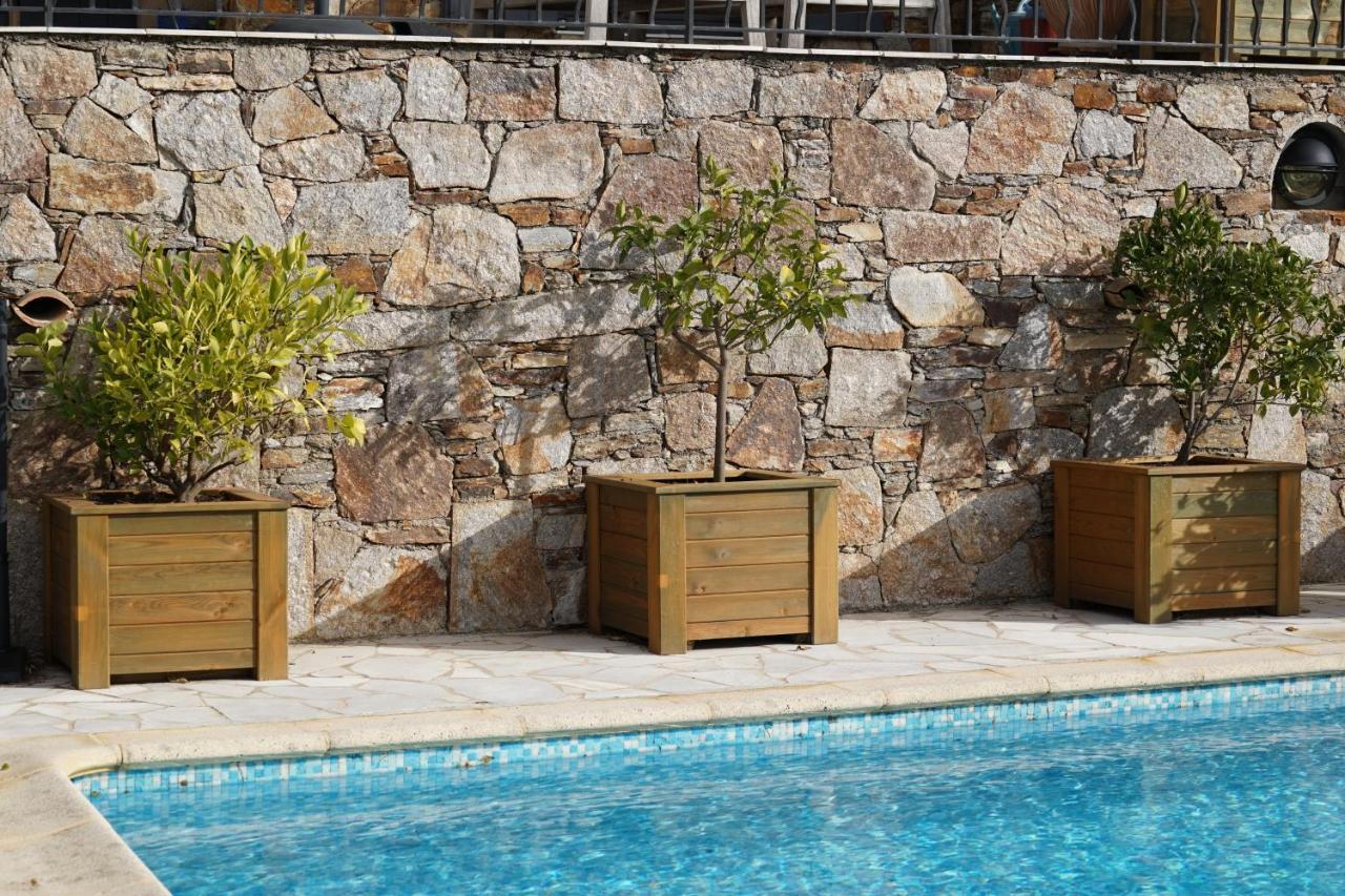 Villa les Cades Sainte-Maxime Extérieur photo