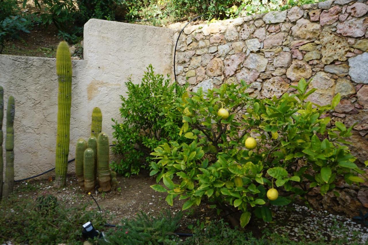 Villa les Cades Sainte-Maxime Extérieur photo